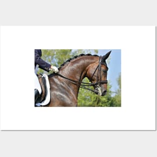 Dressage Posters and Art